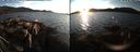 ./images/rivers-inlet/ethel/20191026/ethel20191026_174450.jpg