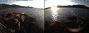 ./images/rivers-inlet/ethel/20191026/ethel20191026_174951.jpg