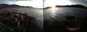 ./images/rivers-inlet/ethel/20191026/ethel20191026_175450.jpg