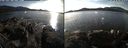 ./images/rivers-inlet/ethel/20191028/ethel20191028_152451.jpg