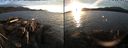 ./images/rivers-inlet/ethel/20191031/ethel20191031_174450.jpg