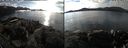 ./images/rivers-inlet/ethel/20191104/ethel20191104_134450.jpg