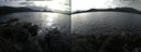 ./images/rivers-inlet/ethel/20191113/ethel20191113_133950.jpg
