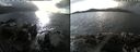 ./images/rivers-inlet/ethel/20191115/ethel20191115_125950.jpg