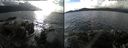 ./images/rivers-inlet/ethel/20191115/ethel20191115_130950.jpg