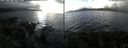 ./images/rivers-inlet/ethel/20191117/ethel20191117_131950.jpg