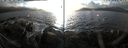 ./images/rivers-inlet/ethel/20191117/ethel20191117_151950.jpg