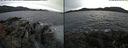 ./images/rivers-inlet/ethel/20191118/ethel20191118_144450.jpg