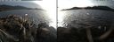 ./images/rivers-inlet/ethel/20191118/ethel20191118_153950.jpg