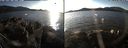 ./images/rivers-inlet/ethel/20191119/ethel20191119_143950.jpg