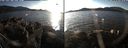 ./images/rivers-inlet/ethel/20191119/ethel20191119_144950.jpg