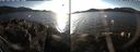 ./images/rivers-inlet/ethel/20191119/ethel20191119_145450.jpg