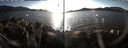 ./images/rivers-inlet/ethel/20191119/ethel20191119_145950.jpg