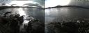 ./images/rivers-inlet/ethel/20191125/ethel20191125_122950.jpg