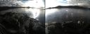 ./images/rivers-inlet/ethel/20191125/ethel20191125_142450.jpg