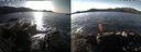 ./images/rivers-inlet/ethel/20191126/ethel20191126_124450.jpg