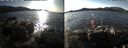 ./images/rivers-inlet/ethel/20191126/ethel20191126_132950.jpg