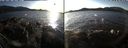 ./images/rivers-inlet/ethel/20191126/ethel20191126_143950.jpg