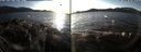 ./images/rivers-inlet/ethel/20191126/ethel20191126_144450.jpg