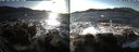 ./images/rivers-inlet/ethel/20191127/ethel20191127_140950.jpg