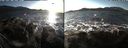 ./images/rivers-inlet/ethel/20191127/ethel20191127_142950.jpg