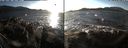 ./images/rivers-inlet/ethel/20191127/ethel20191127_144450.jpg