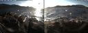 ./images/rivers-inlet/ethel/20191127/ethel20191127_145450.jpg
