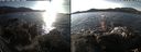./images/rivers-inlet/ethel/20191129/ethel20191129_134450.jpg