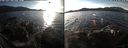 ./images/rivers-inlet/ethel/20191129/ethel20191129_140950.jpg