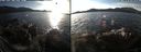 ./images/rivers-inlet/ethel/20191129/ethel20191129_141950.jpg