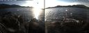 ./images/rivers-inlet/ethel/20191129/ethel20191129_143950.jpg