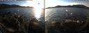 ./images/rivers-inlet/ethel/20191129/ethel20191129_144950.jpg