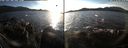 ./images/rivers-inlet/ethel/20191129/ethel20191129_145450.jpg