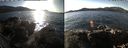 ./images/rivers-inlet/ethel/20191130/ethel20191130_130950.jpg