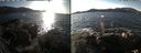 ./images/rivers-inlet/ethel/20191130/ethel20191130_133950.jpg