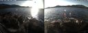 ./images/rivers-inlet/ethel/20191130/ethel20191130_141950.jpg