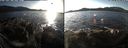 ./images/rivers-inlet/ethel/20191130/ethel20191130_142450.jpg