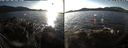 ./images/rivers-inlet/ethel/20191130/ethel20191130_142950.jpg