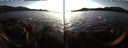 ./images/rivers-inlet/ethel/20191130/ethel20191130_160450.jpg