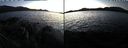 ./images/rivers-inlet/ethel/20191130/ethel20191130_162950.jpg