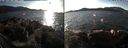 ./images/rivers-inlet/ethel/20191204/ethel20191204_141450.jpg