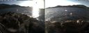 ./images/rivers-inlet/ethel/20191204/ethel20191204_142950.jpg