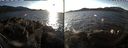 ./images/rivers-inlet/ethel/20191204/ethel20191204_143950.jpg