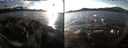 ./images/rivers-inlet/ethel/20191207/ethel20191207_143950.jpg