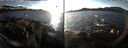 ./images/rivers-inlet/ethel/20191207/ethel20191207_145950.jpg