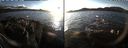 ./images/rivers-inlet/ethel/20191207/ethel20191207_151450.jpg