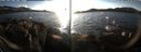 ./images/rivers-inlet/ethel/20191207/ethel20191207_151950.jpg