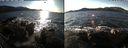 ./images/rivers-inlet/ethel/20191225/ethel20191225_135450.jpg