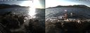 ./images/rivers-inlet/ethel/20191225/ethel20191225_140450.jpg
