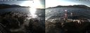 ./images/rivers-inlet/ethel/20191225/ethel20191225_140950.jpg